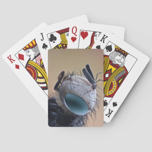 Close-up insectenkop pokerkaarten (Achterkant)