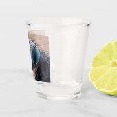 Close-up insectenkop shot glas (Rechts)