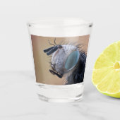 Close-up insectenkop shot glas (Voorkant)