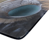 Close-up insectenkop snijplank (Hoek)