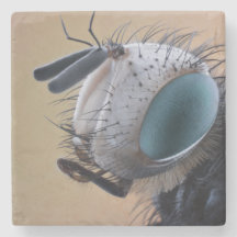 Close-up insectenkop