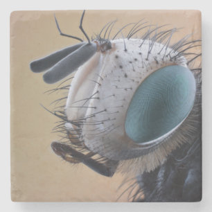 Close-up insectenkop stenen onderzetter