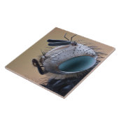 Close-up insectenkop tegeltje (Zijkant)