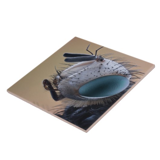 Close-up insectenkop tegeltje (Zijkant)