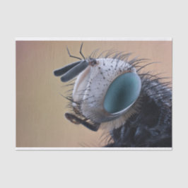 Close-up insectenkop tissuepapier