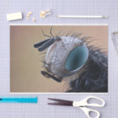 Close-up insectenkop tissuepapier (Craft)