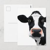 Close-Up Koe Curiositeit Briefkaart (Voorkant / Achterkant)