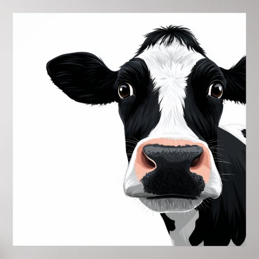 Close-up Koe Nieuwsgierigheid Poster (Voorkant)