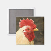 Close-up Magneet (Voorkant / Achterkant)