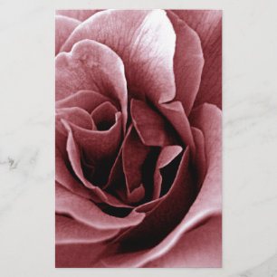Close-up monochrome roos bloem briefpapier