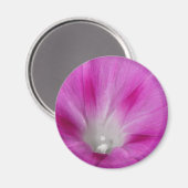 Close-up Morning Glory Magnet (Voorkant / Achterkant)