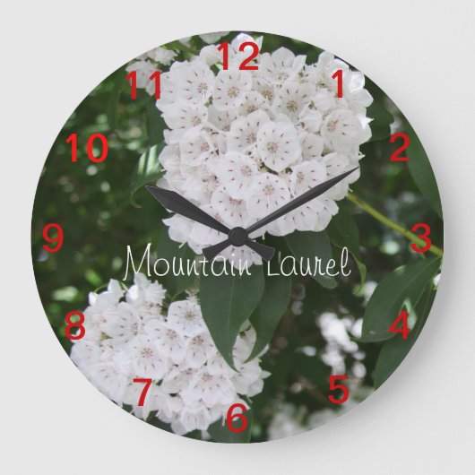 close-up Mountain Laurel Flowers Wall Clock Grote Klok (Voorkant)