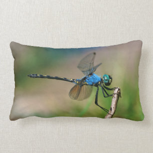 Close-Up Of A Blue Dragon Fly On A Branch Kussen