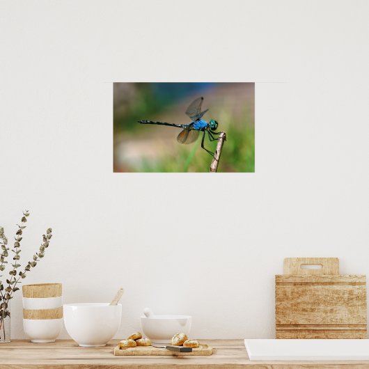 Close-Up Of A Blue Dragon Fly On A Branch Poster (Keuken)