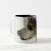 Close-up of a Chihuahua wearing a hat Tweekleurige Koffiemok (Voorkant links)