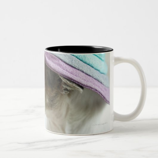 Close-up of a Chihuahua wearing a hat Tweekleurige Koffiemok (Rechts)