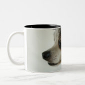 Close-up of a Chihuahua wearing a hat Tweekleurige Koffiemok (Links)