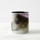 Close-up of a Chihuahua wearing a hat Tweekleurige Koffiemok (Center)