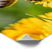 Close Up of a Honeybee Collecting Nectar Poster (Hoek)