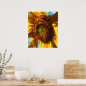 Close-up of a sunflower poster (Keuken)