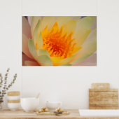 Close-Up Of A Water Lily Poster (Keuken)