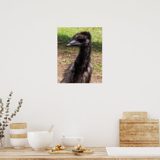 Close-up of an Emu Poster (Keuken)
