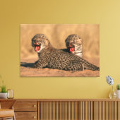 Close-Up Of New Born Leopard (Panthera Pardus) Canvas Afdruk (Insitu (Woonkamer))