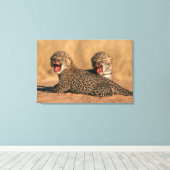 Close-Up Of New Born Leopard (Panthera Pardus) Canvas Afdruk (Insitu (Houten vloer))