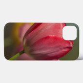 Close-up of red and yellow tulips in garden Case-Mate iPhone case (Achterkant (horizontaal))