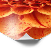 Close-Up Oranje Bloemfoto vergroting Foto Afdruk (Hoek)