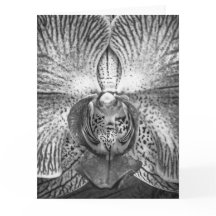 Close-up orchidee wenskaart