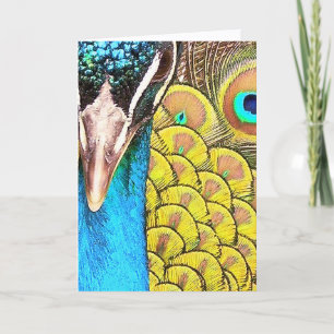 Close-up Peacock Kleuren Verjaardag Kaart