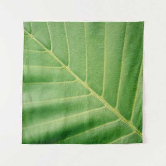 Close up photo of green leaf wandkleed (Voorkant)