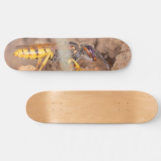 Close-up photograph of a wasp persoonlijk skateboard (Horizontaal)