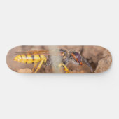 Close-up photograph of a wasp persoonlijk skateboard (Horizontaal)