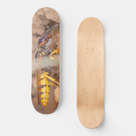 Close-up photograph of a wasp persoonlijk skateboard (Voorkant)