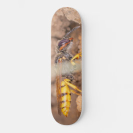 Close-up photograph of a wasp persoonlijk skateboard