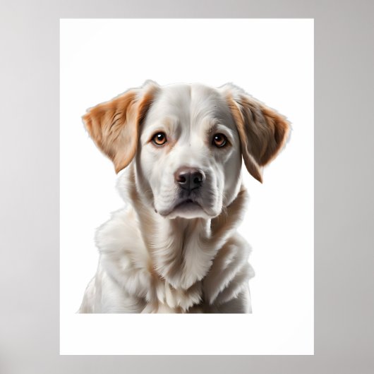 Close-Up Portrait of a Sweet-Faced Dog Poster (Voorkant)