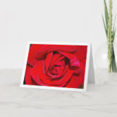 Close-up portret van een rode roos kaart (Voorkant)