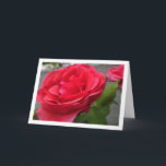 Close-up Portret van Rode Rozen Kaart<br><div class="desc">Uitklapbare Wenskaart met Close-up Portret van Rode Rozen. U kunt dit product gemakkelijk gratis aanpassen als u tekst wilt toevoegen of de kleur van de achtergrond wilt wijzigen.</div>