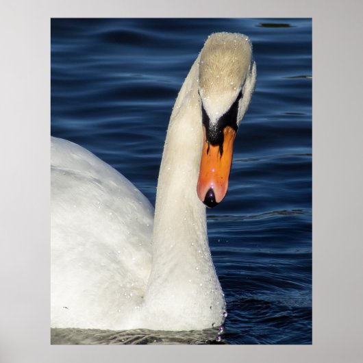 Close-up Poster (Voorkant)