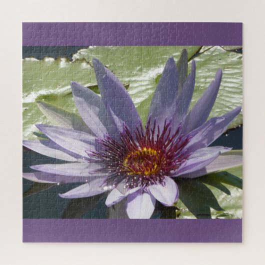 Close-up puzzel: Paarse lotusbloem Legpuzzel (Verticaal)