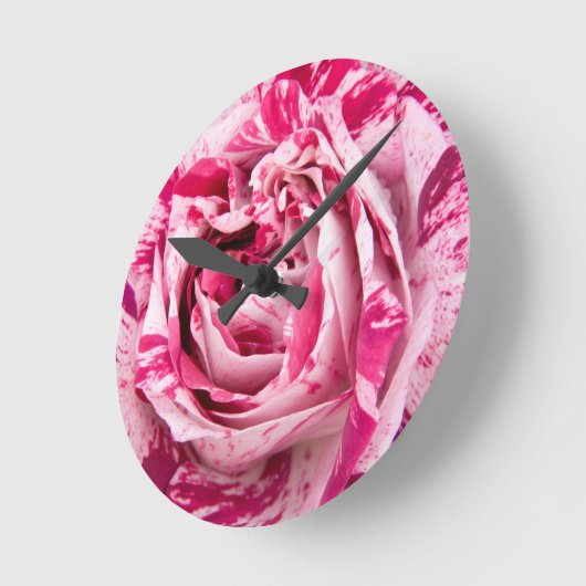 Close-up roos ronde klok (Hoek)