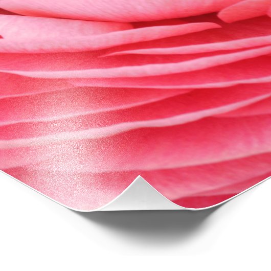 Close-up roze bloem foto afdrukken (Hoek)