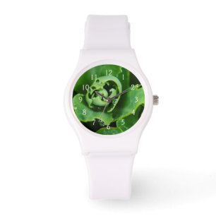 Close-up, sappige plant met waterdruppels horloge