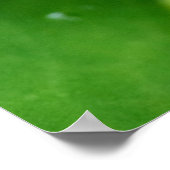 Close-up, sappige plant met waterdruppels poster (Hoek)