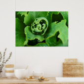Close-up, sappige plant met waterdruppels poster (Keuken)