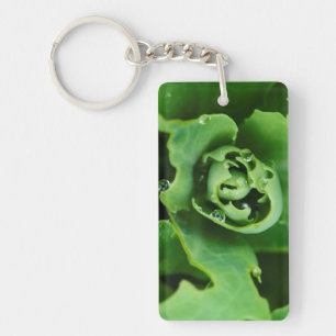 Close-up, sappige plant met waterdruppels sleutelhanger