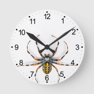 Close-up Spider Isolated-23983 Jeans Ronde Klok