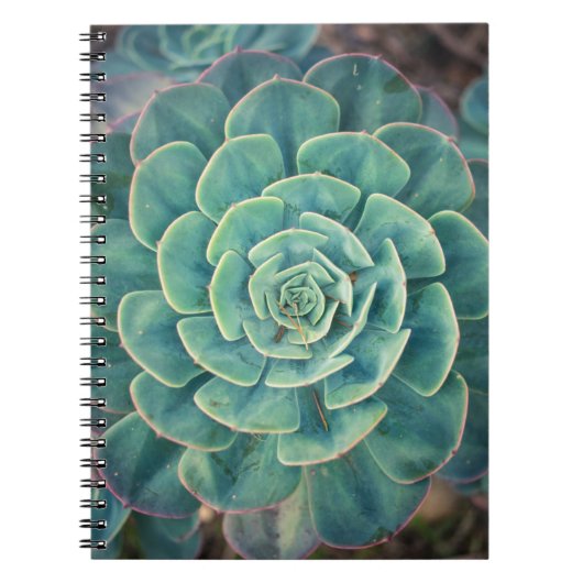 Close-up Succulent Notitieboek (Voorkant)